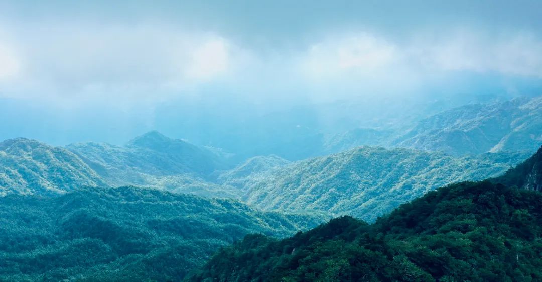 1713928356986288.jpg 6CE2DFABC3699421059DBF0454B_838A3CFB_1273E.jpg